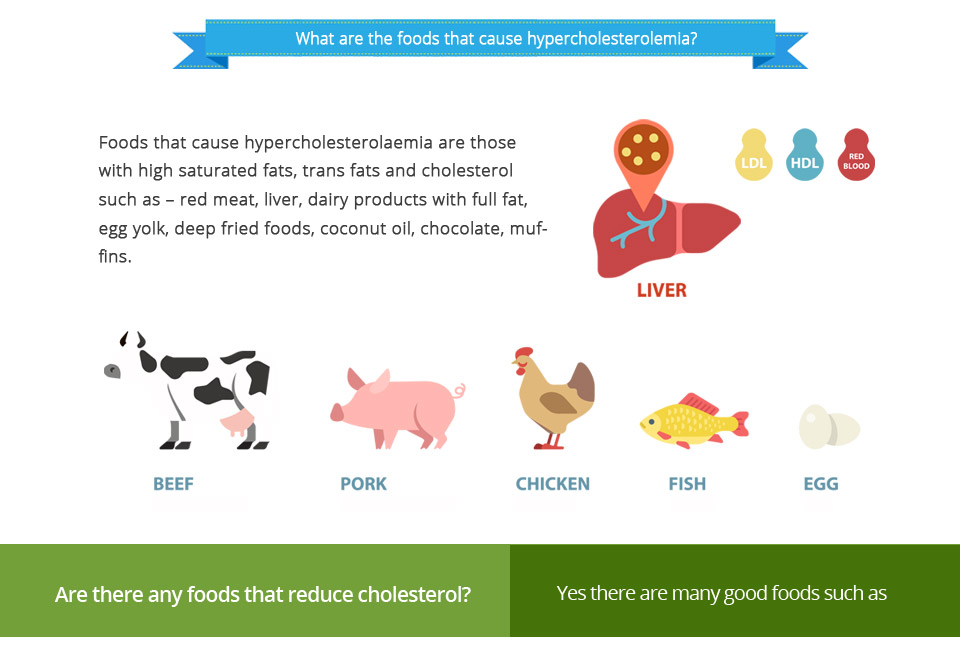 What are foods that cause hypercholesterolemia?
