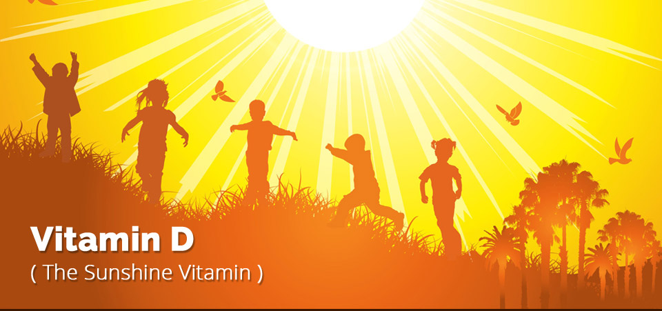 Best Vitamin-D Rich Foods  Vitamin-D Test and Health Tips