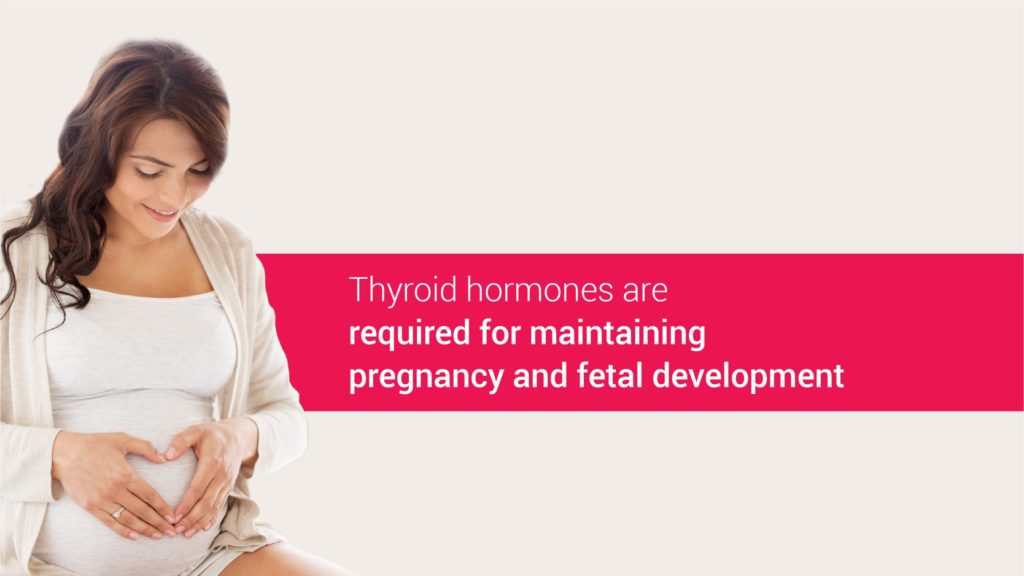  Thyroid hormones are required for maintaining pregnancy and fetal development.
