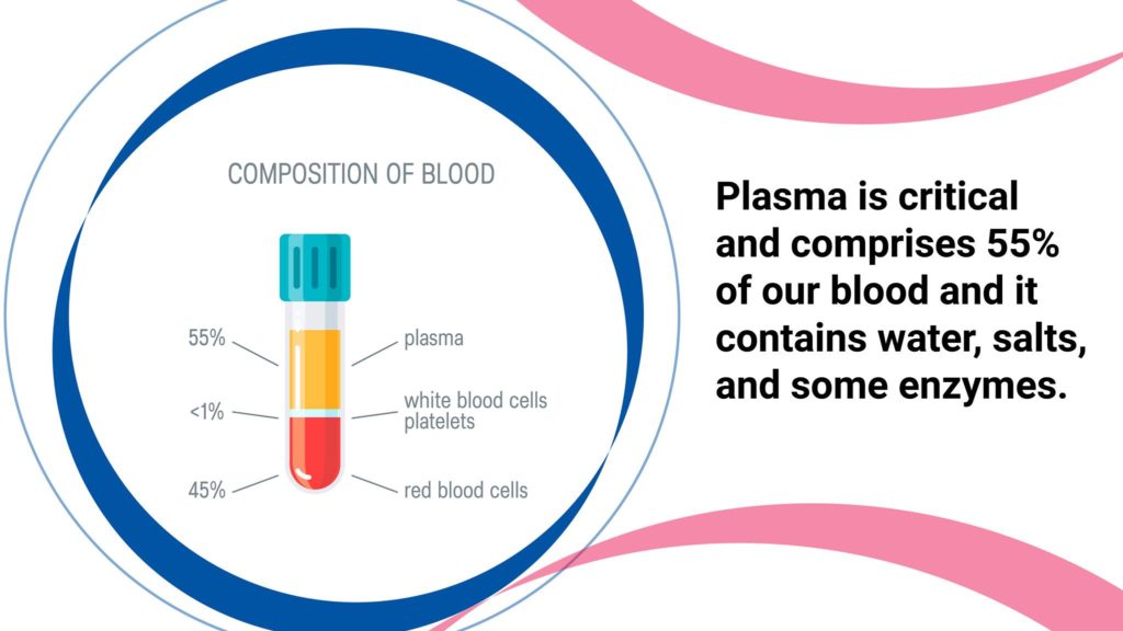 Plasma is critical and comprises 55% of our blood and it contains water, salts, and some enzymes