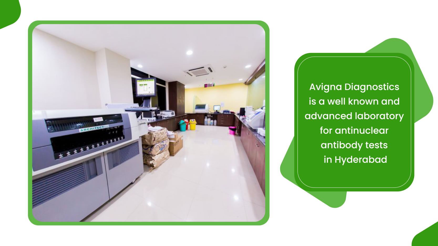 Avigna Diagnostics is a well known and advanced laboratory for antinuclear antibody tests in Hyderabad