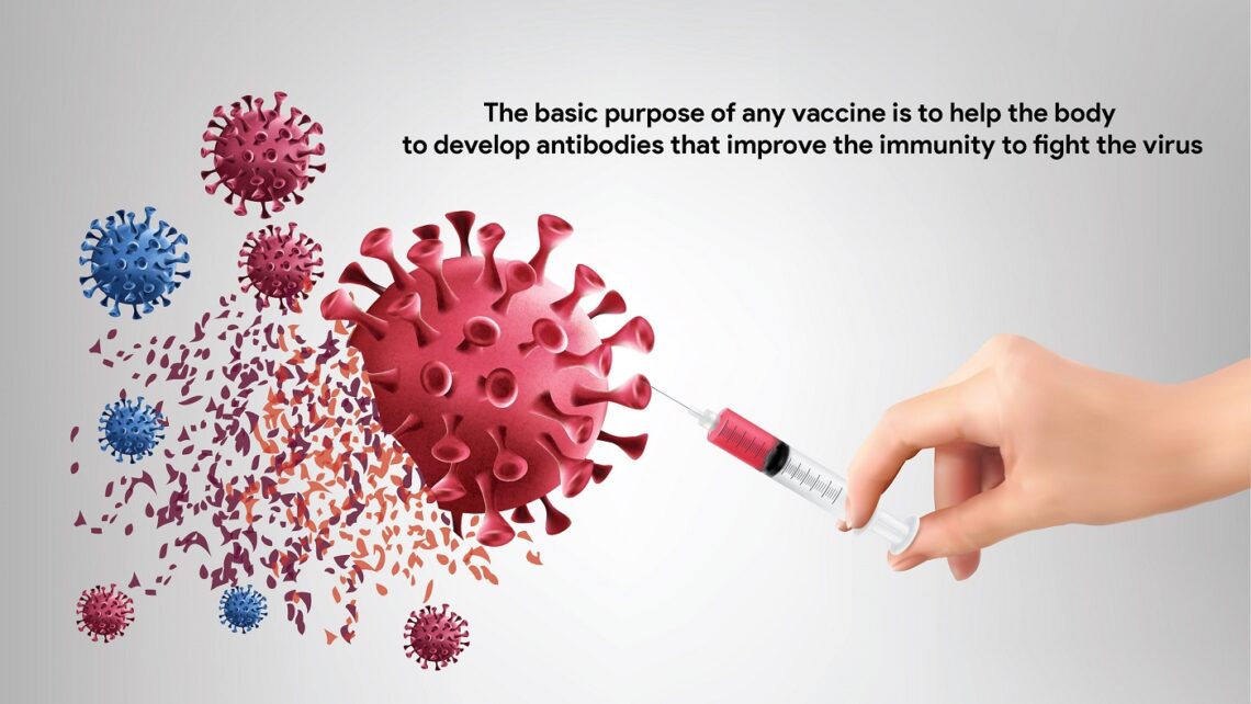 The basic purpose of any vaccine is to help the body to develop antibodies that improve the immunity to fight the virus