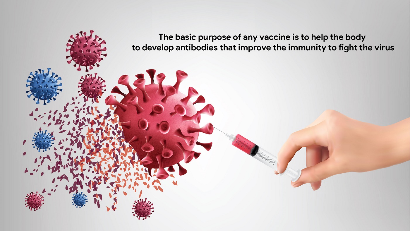 The basic purpose of any vaccine is to help the body to develop antibodies that improve the immunity to fight the virus