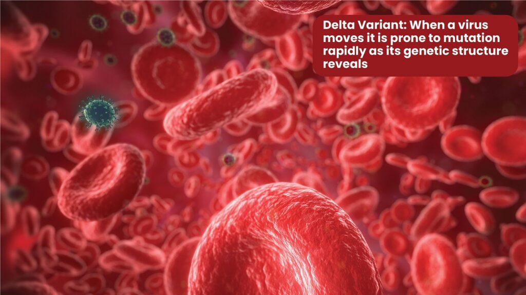 Delta Variant: When a virus moves it is prone to mutation rapidly as its genetic structure reveals